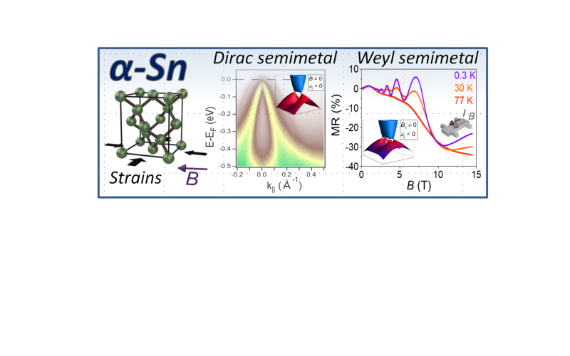 Unique electronic properties of gray tin
