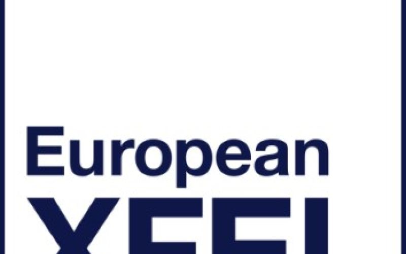 Wsparcie polskich użytkowników EuXFEL – Nadzór II (2022-26)
