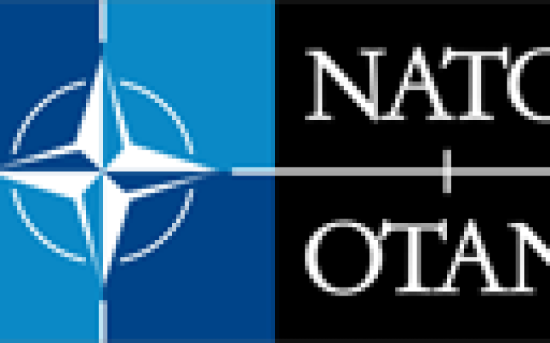 Określanie dawki i źródła promieniowania w sytuacji zagrożenia radiologicznego - NATO SPS