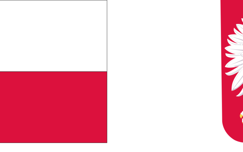 Układ laserowy do badań molekuł dla przyszłych technologii kwantowych